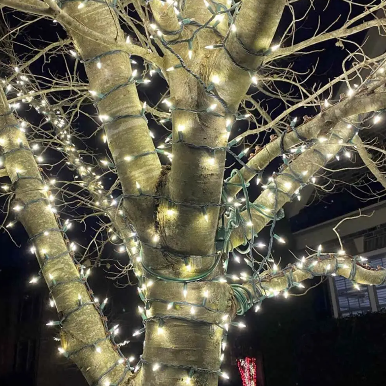 TREE-Z® Wrap Brown – Certified Lights